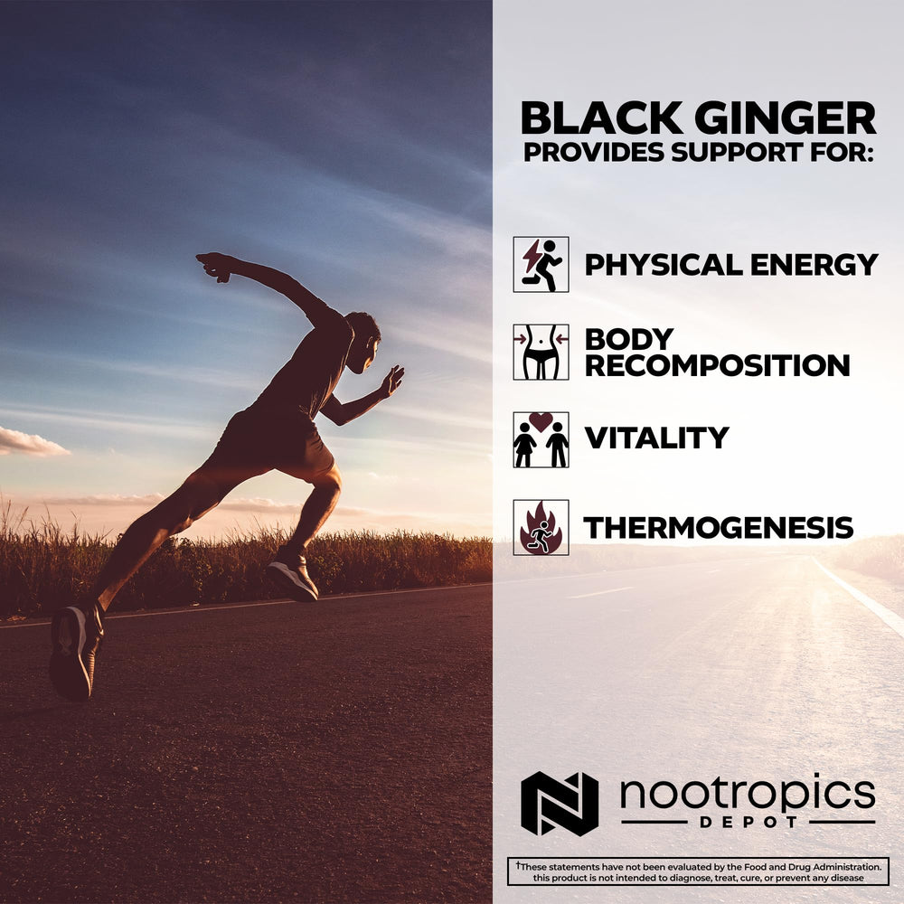 Nootropics Depot capsules closeup emphasizes uniform capsules for steady use.