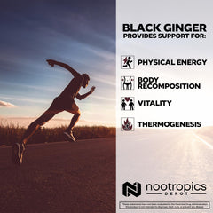 Nootropics Depot capsules closeup emphasizes uniform capsules for steady use.