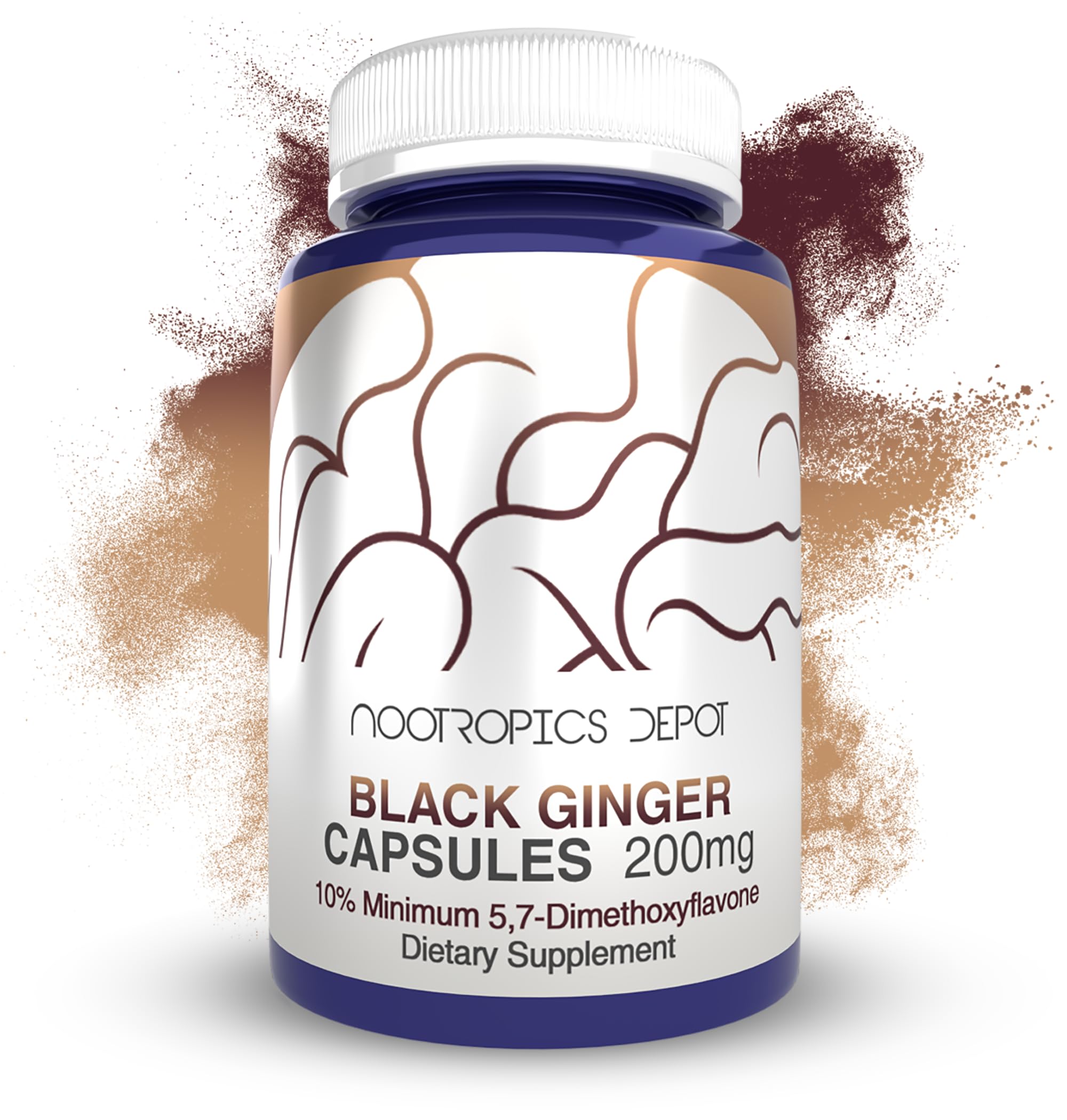 Nootropics Depot Black Ginger Extract capsules label highlighting potency for consistent dosing.