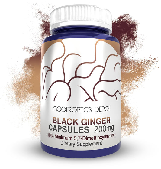 Nootropics Depot Black Ginger Extract capsules label highlighting potency for consistent dosing.