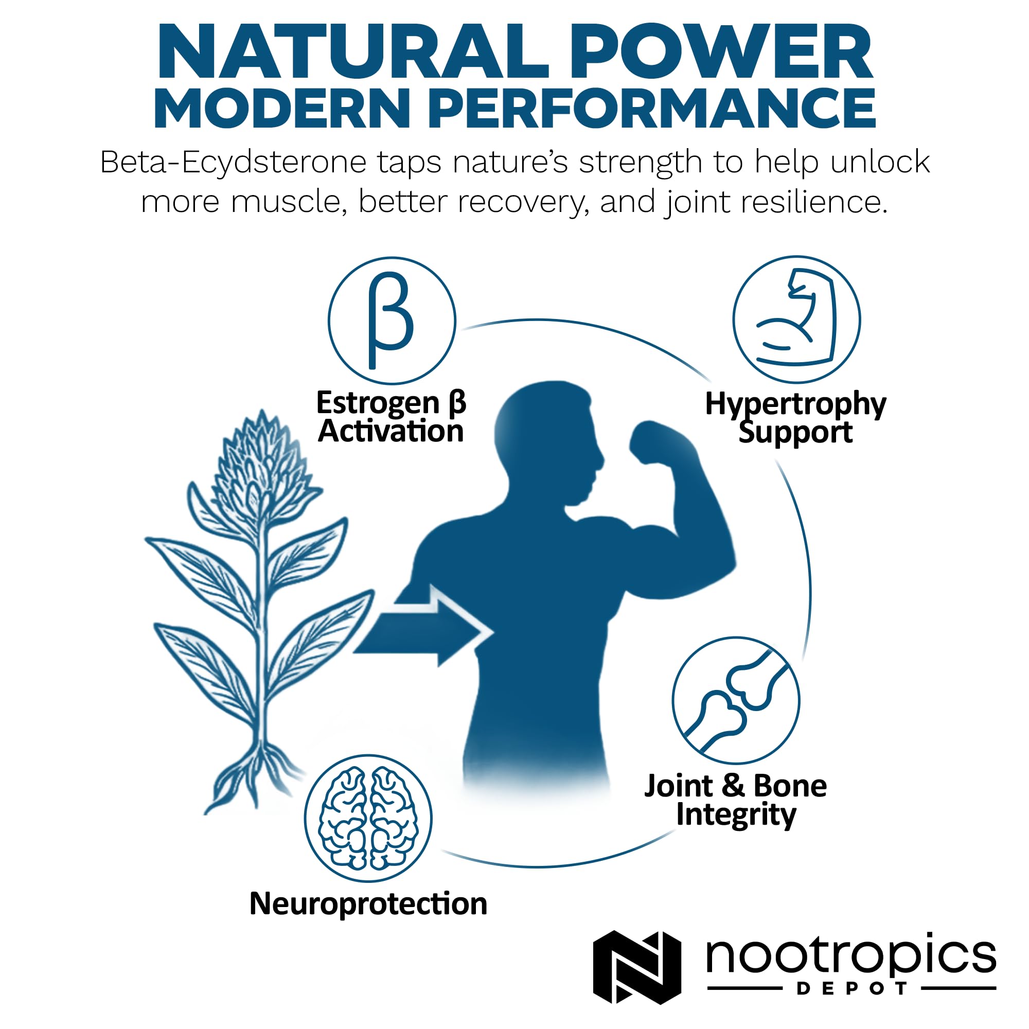 Top view of Nootropics Depot Beta Ecdysterone bottle emphasizing premium packaging.