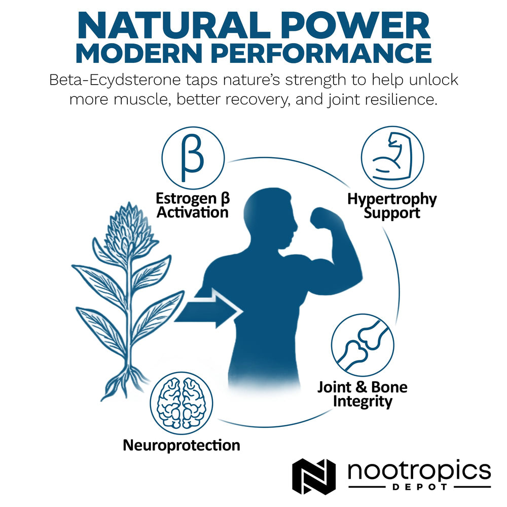 Top view of Nootropics Depot Beta Ecdysterone bottle emphasizing premium packaging.