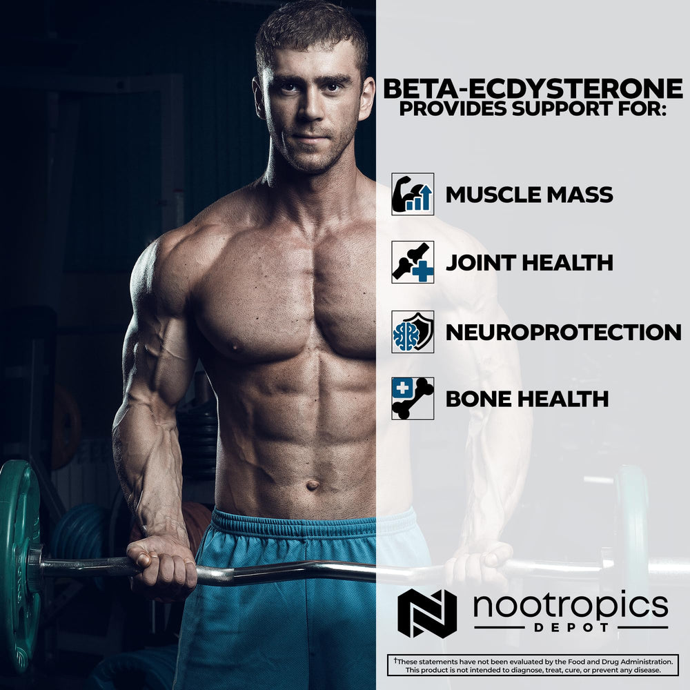 Nootropics Depot bottle placed beside gym equipment suggesting an athletic lifestyle context.