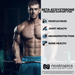 Nootropics Depot bottle placed beside gym equipment suggesting an athletic lifestyle context.