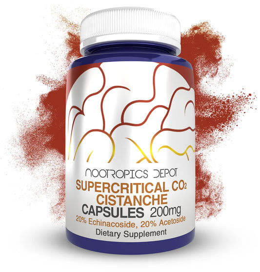 Nootropics Depot Cistanche capsules bottle front for daily use and potential endurance support.