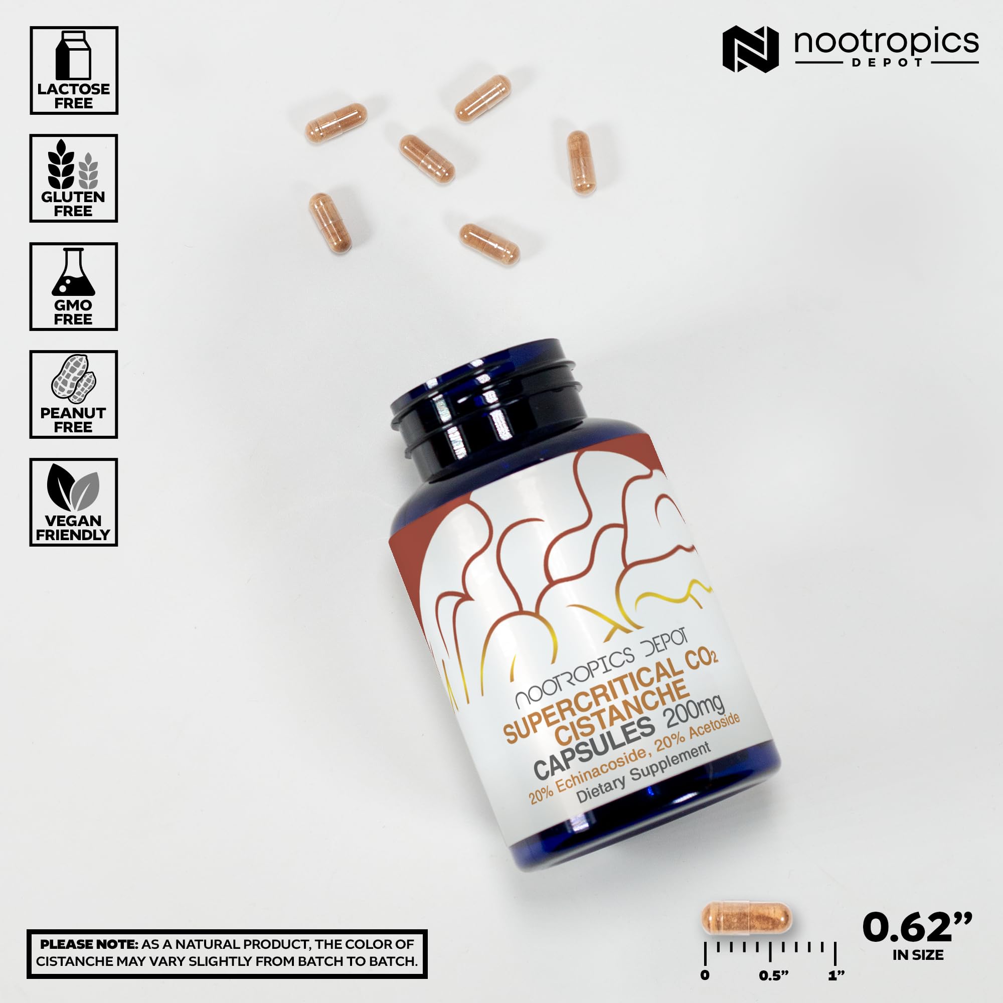 Nootropics Depot Cistanche capsules in hand emphasize convenient daily supplementation.
