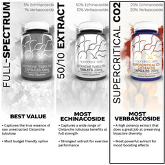 Nootropics Depot Cistanche packaging box highlights potency and formulation details.