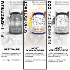 Nootropics Depot label notes minimum echinacoside content for potency.