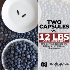Nootropics Depot Cyanidin 3-Glucoside capsules in daily routine scene for energy and resilience.