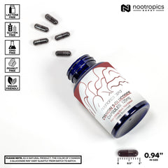 Nootropics Depot Cyanidin 3-Glucoside lab-tested label emphasizes purity and potency.