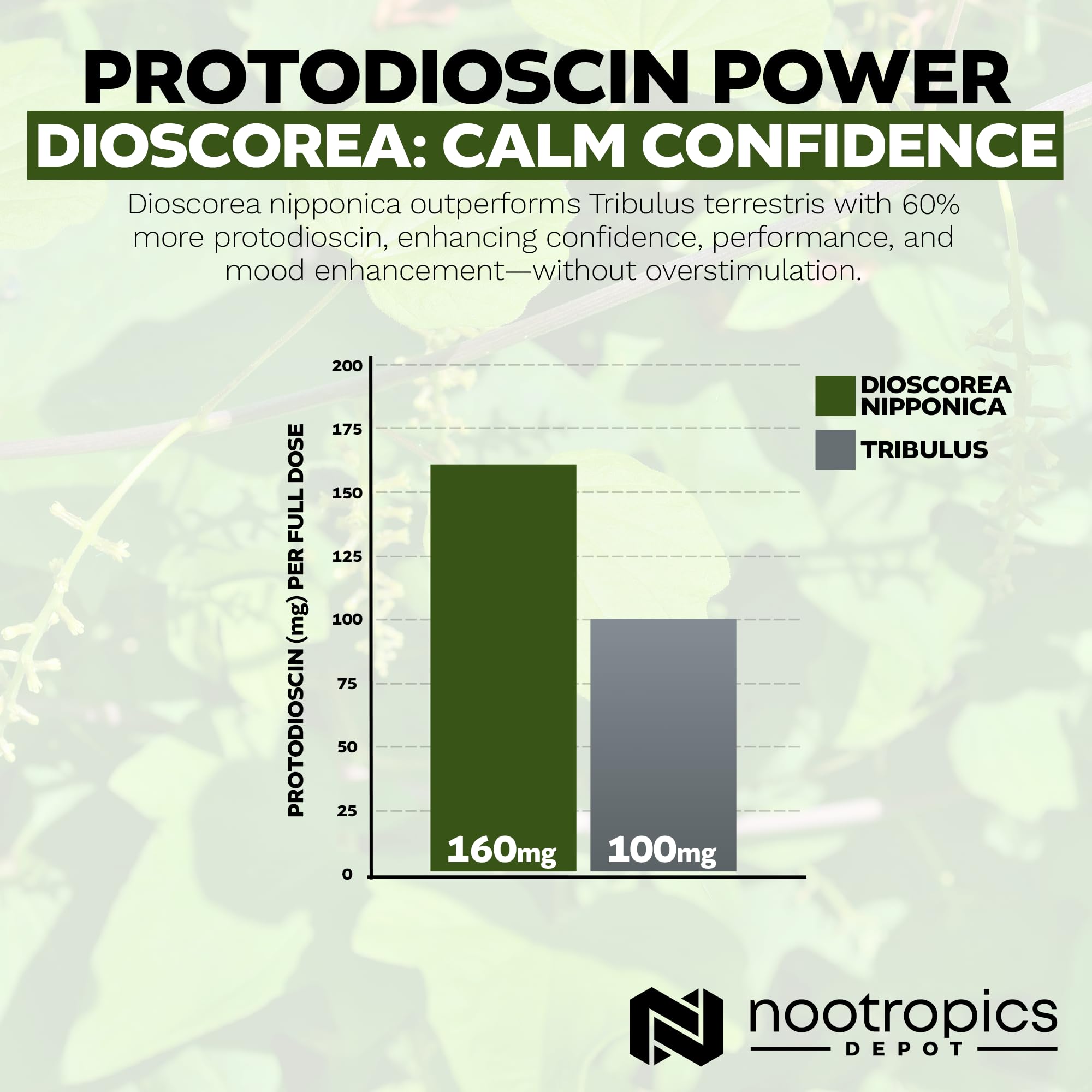 Nootropics Depot packaging front view for ongoing supplementation