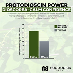Nootropics Depot packaging front view for ongoing supplementation