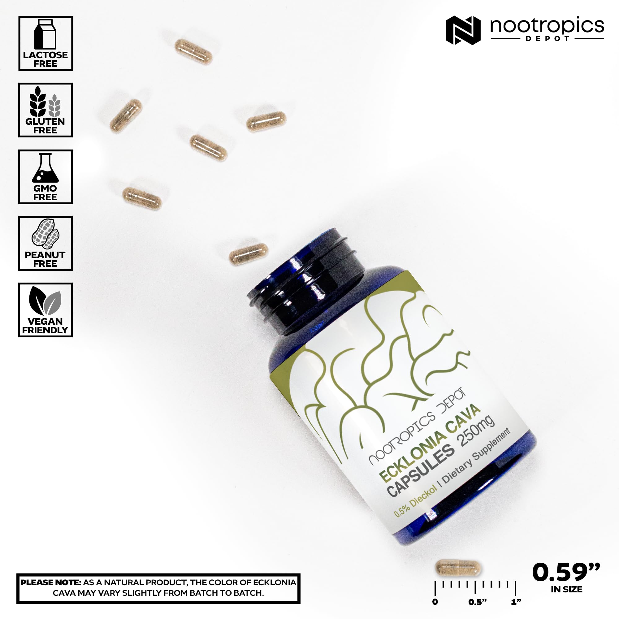 Nootropics Depot Ecklonia Cava capsules in hand, convenient daily wellness companion.
