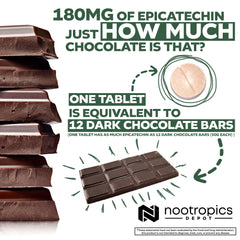 Nootropics Depot Epicatechin tablets with green tea extract for energy and focus.