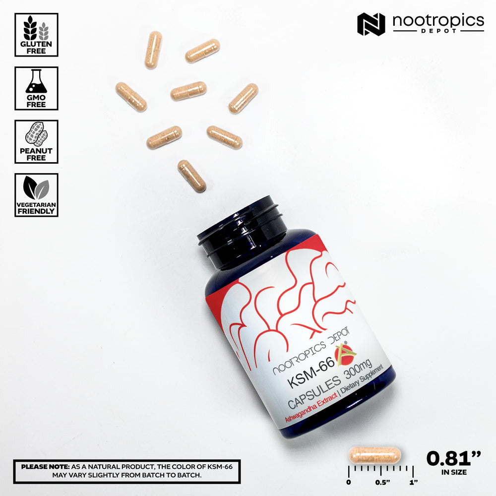 Nootropics Depot KSM-66 Ashwagandha label highlights purity and strength.