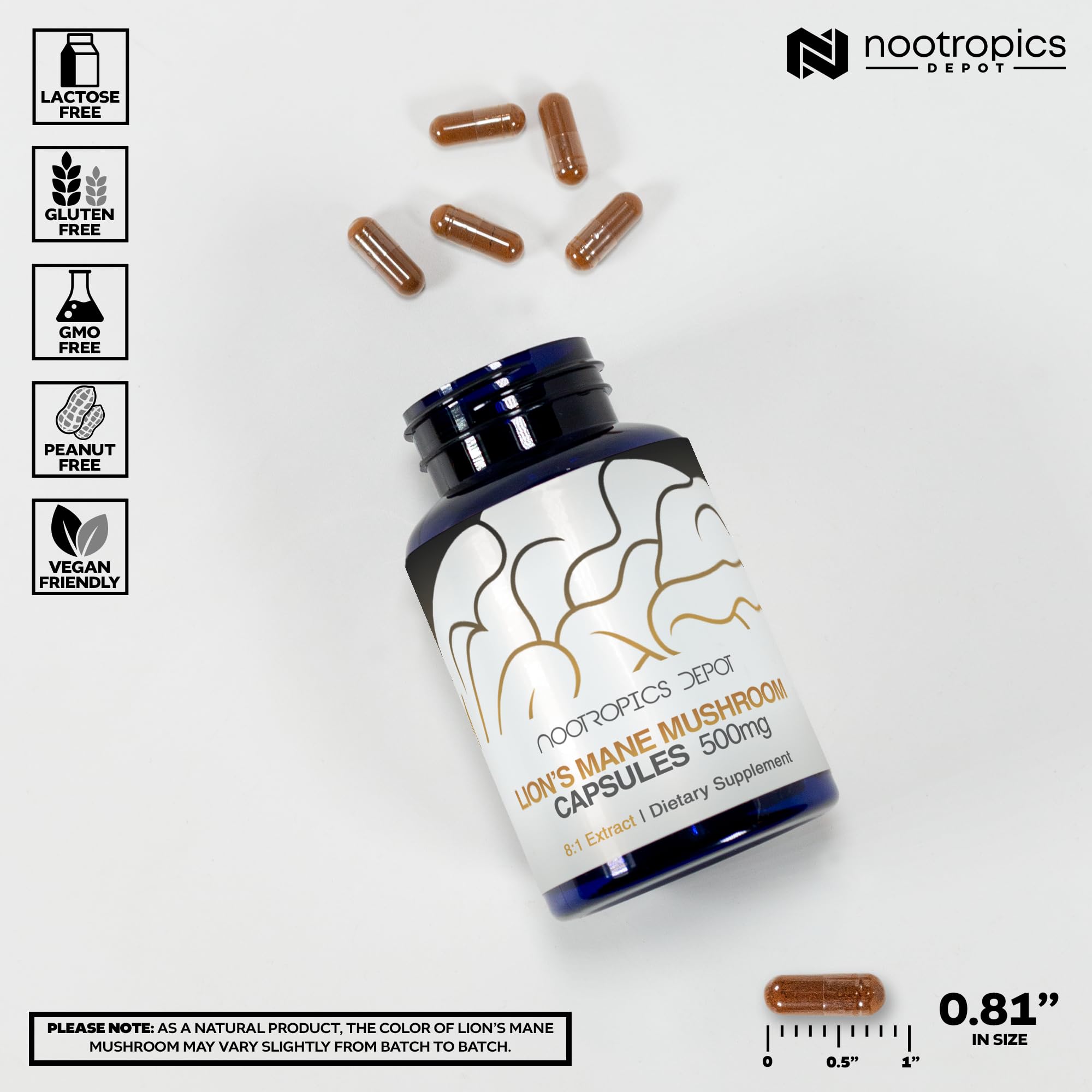 Nootropics Depot Lions Mane label detail displaying dual extract information