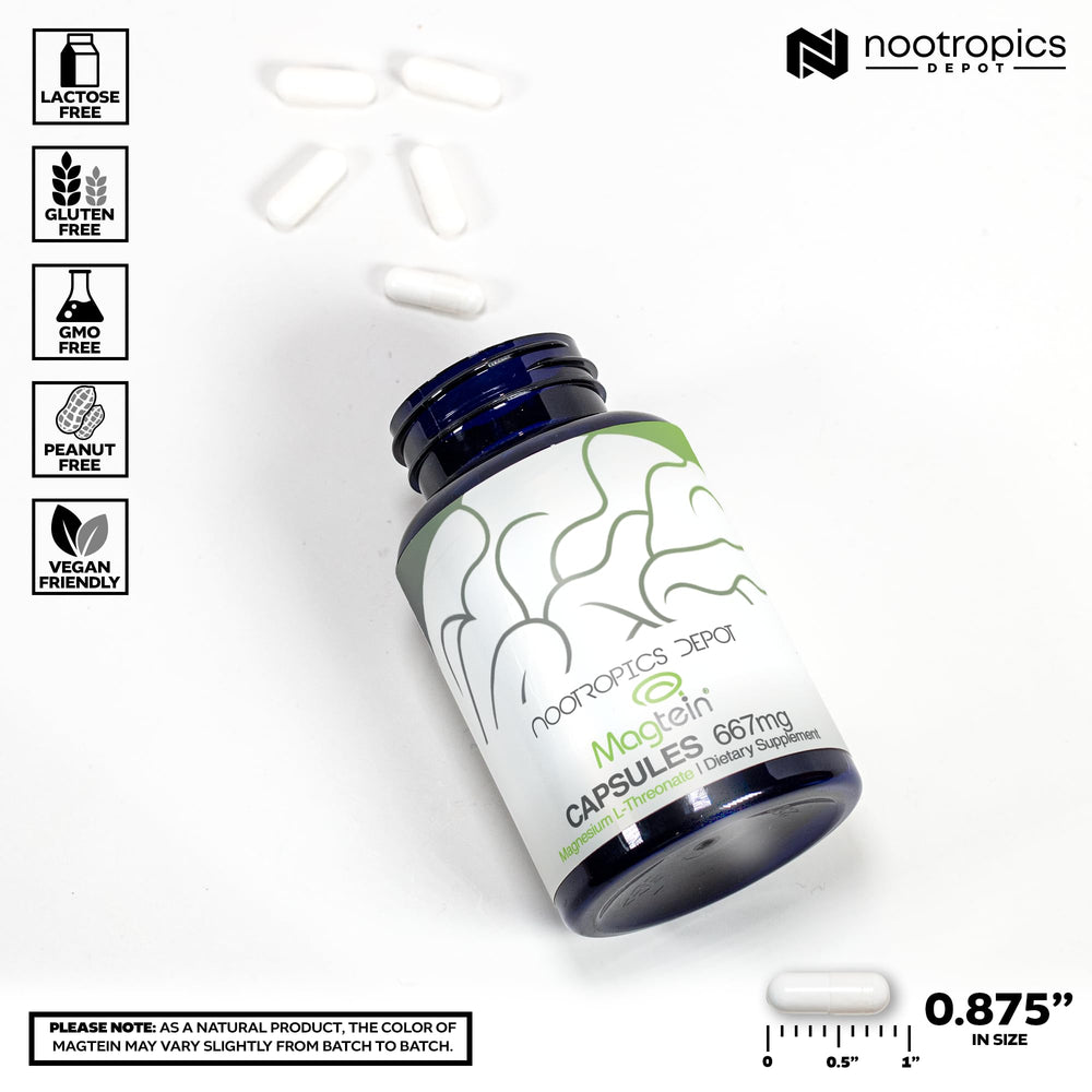 Nootropics Depot Magtein capsules pour into hand, signaling easy daily cognitive support.
