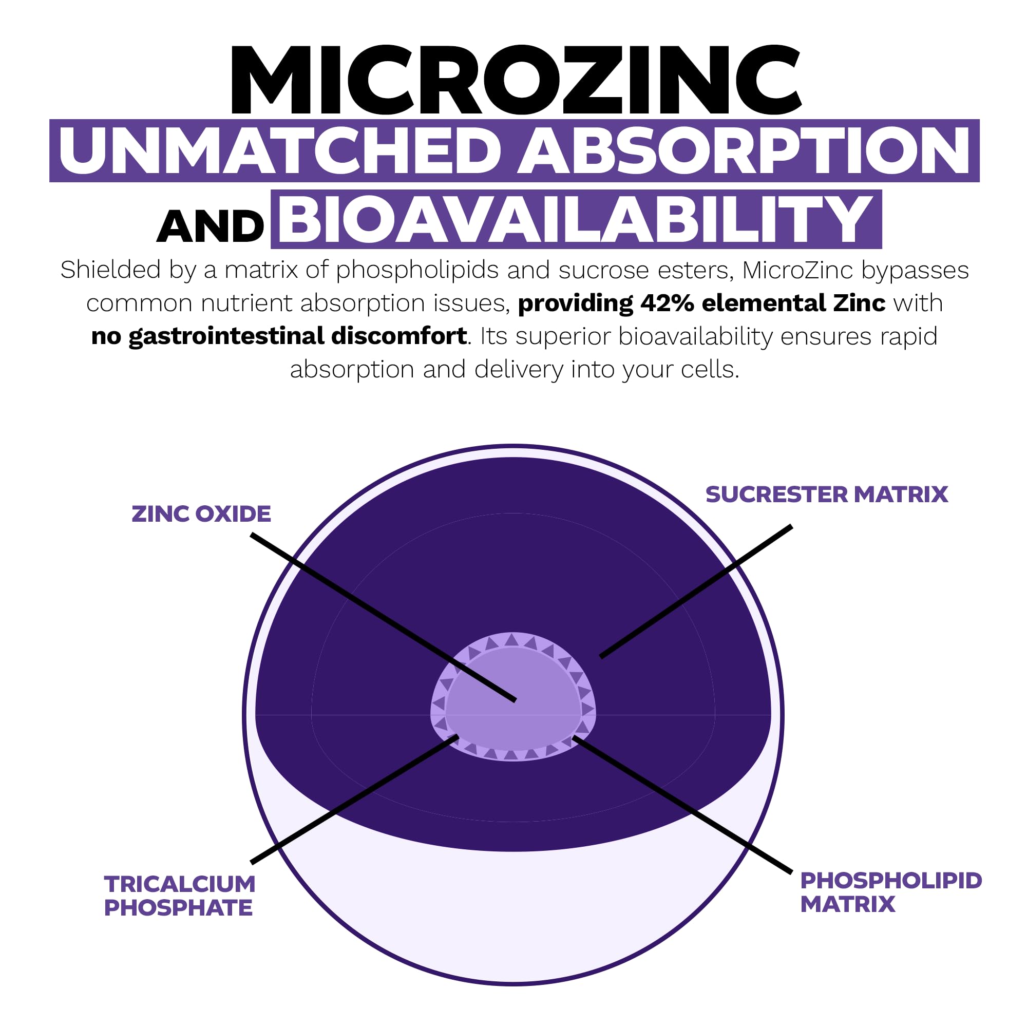 Nootropics Depot MicroZinc label detail on bottle for quality and dosage.