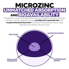 Nootropics Depot MicroZinc label detail on bottle for quality and dosage.
