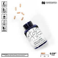 Nootropics Depot Nigella Sativa extract capsules label close-up with standardization info.