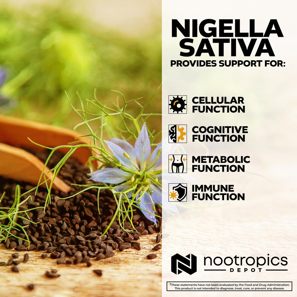 Nootropics Depot Nigella Sativa capsules pack shows bottle quantity.