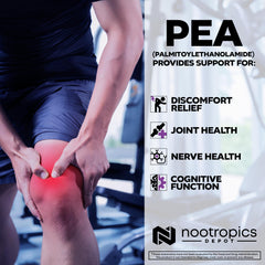 Nootropics Depot Palmitoylethanolamide label closeup emphasizing micronized formulation.