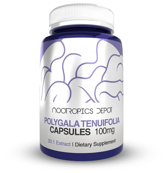 Nootropics Depot Polygala capsules 100mg bottle for daily cognitive support.