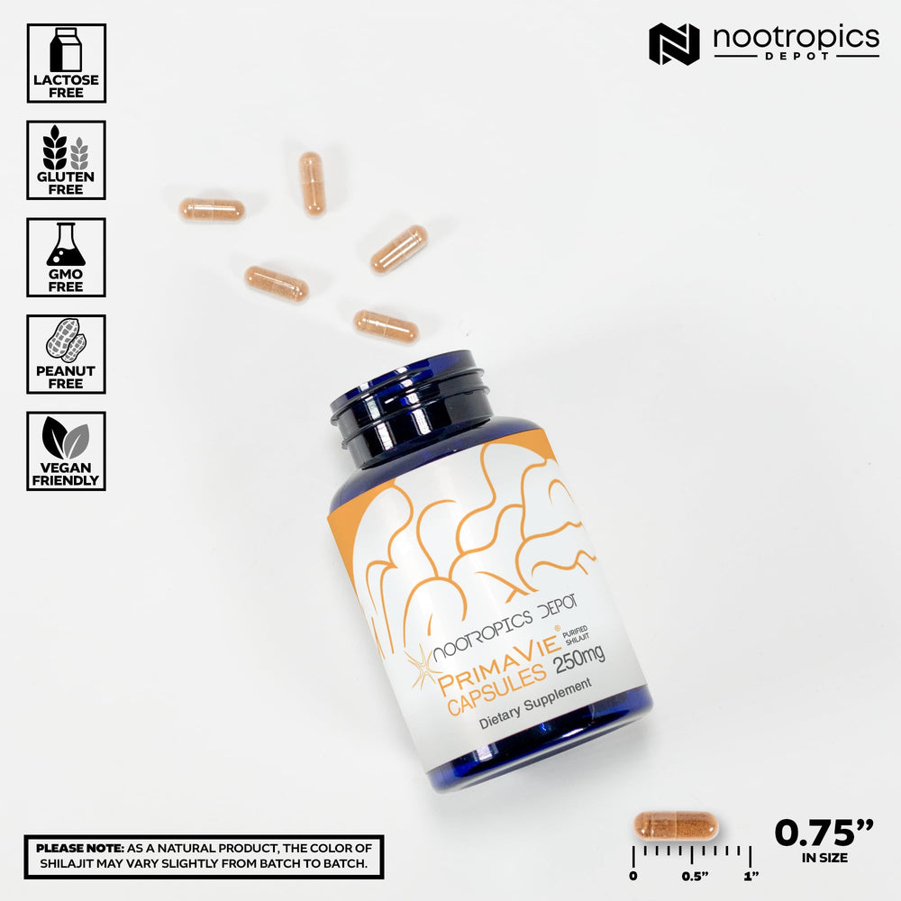 Purity seal on PrimaVie Shilajit capsules indicating low heavy metals and reliability.