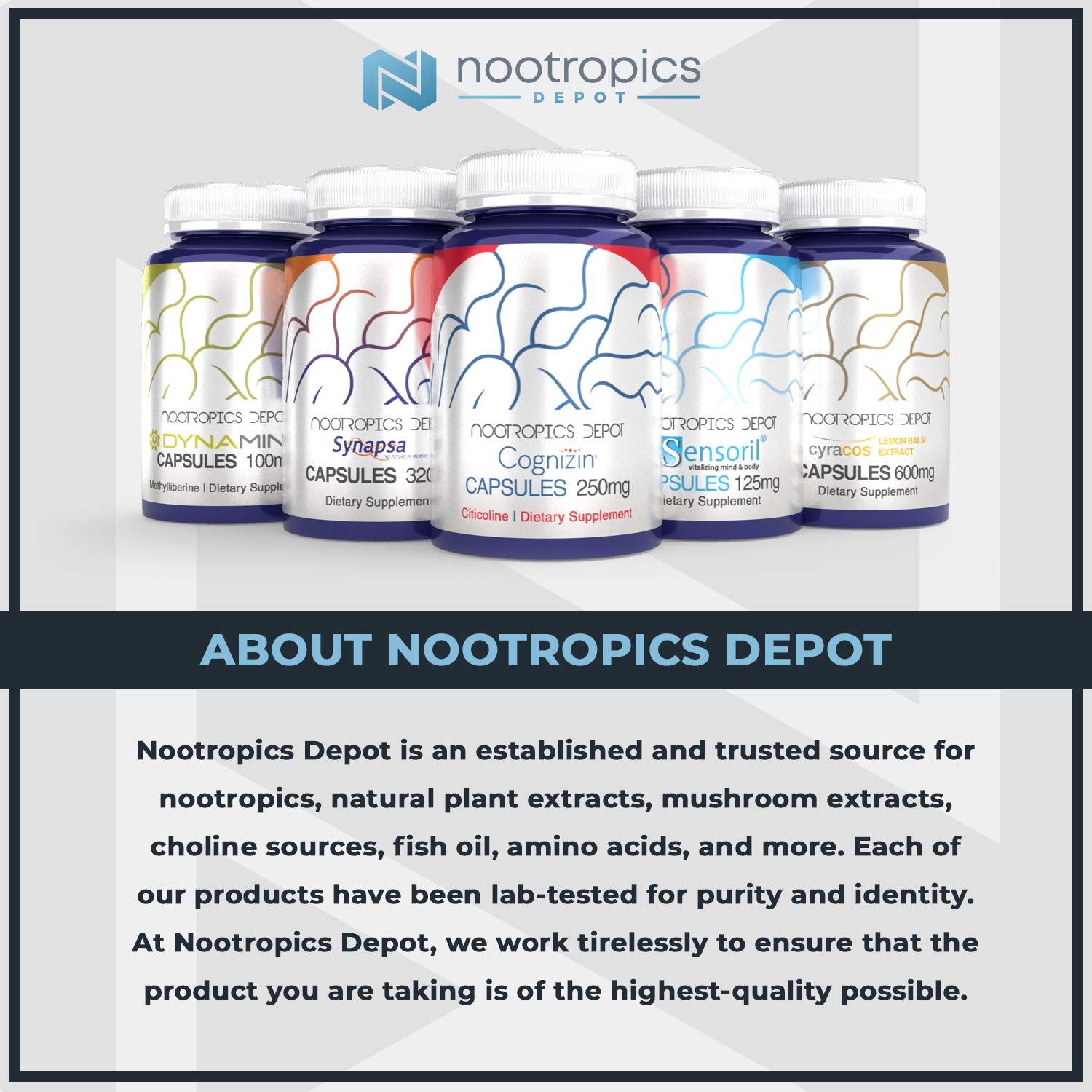 Nootropics Depot Rhodiola Rosea capsules packaging shows Ayurvedic heritage and reliability.