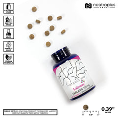 Nootropics Depot Sabroxy bottle on desk during study break.