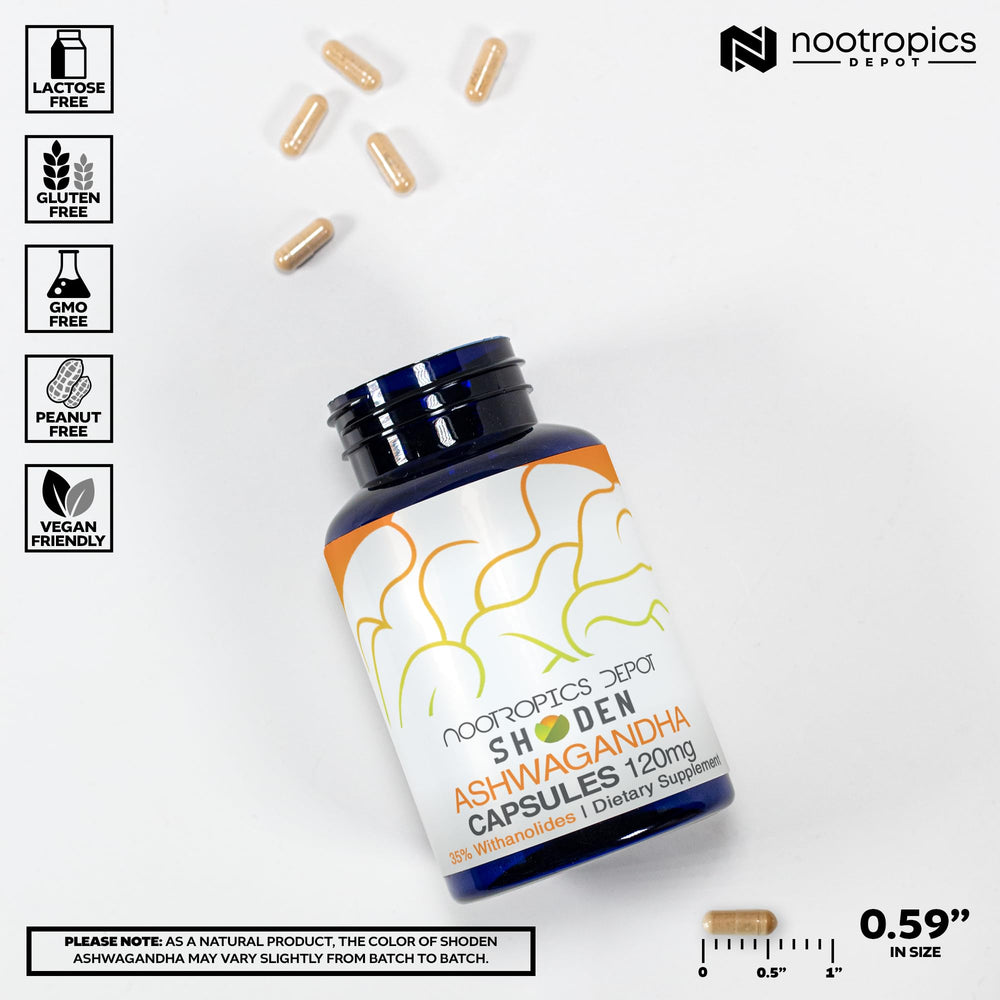 Nootropics Depot Shoden label back shows full-spectrum withanolides and dosage.