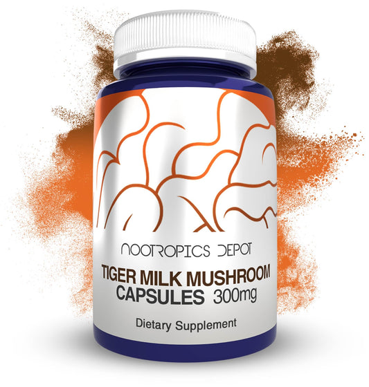 Nootropics Depot Tiger Milk Mushroom capsules 300mg on bottle for cognitive focus