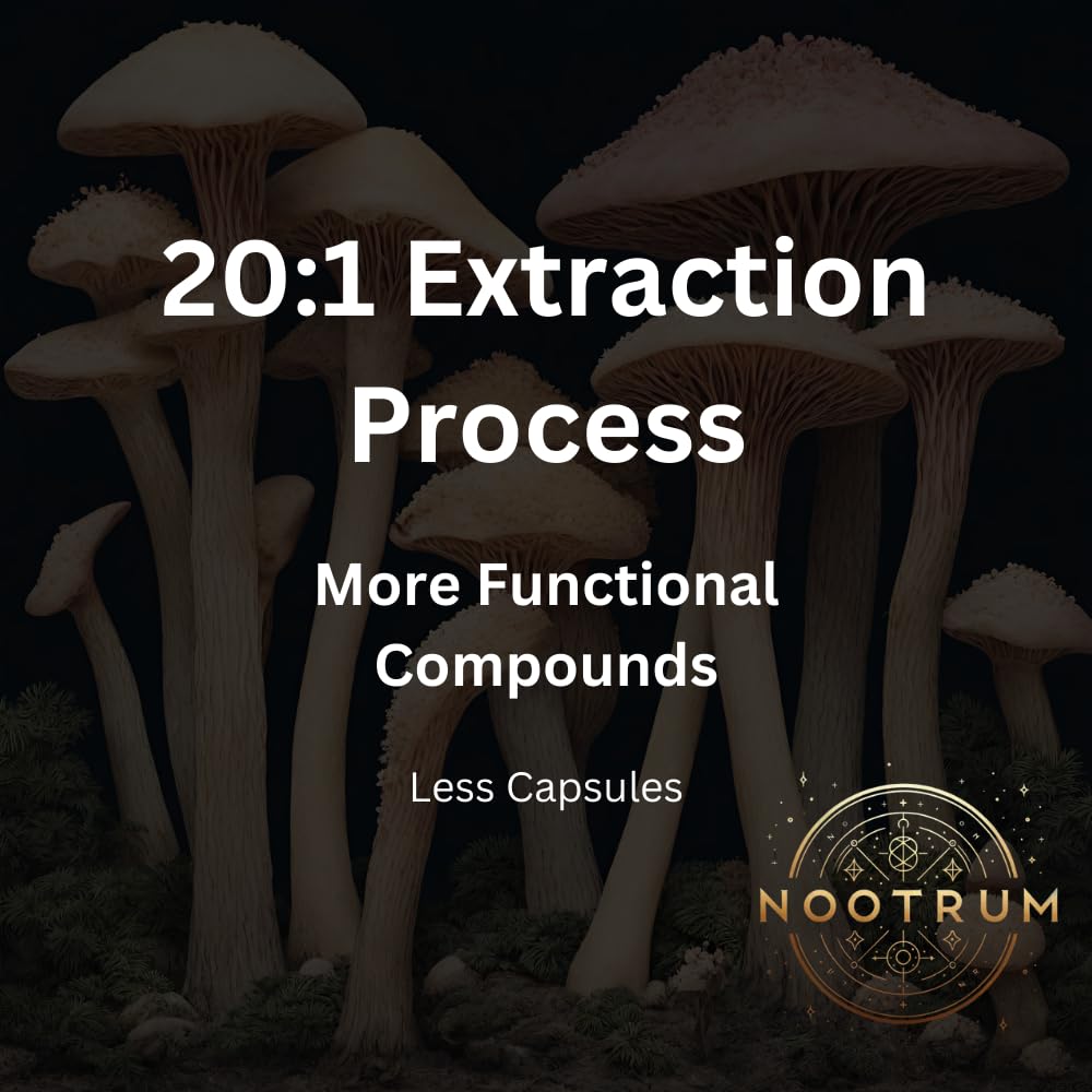 Nootrum Cordyceps capsules suggesting steady energy for busy days.