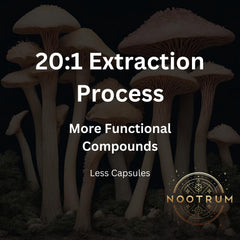 Nootrum Cordyceps capsules suggesting steady energy for busy days.