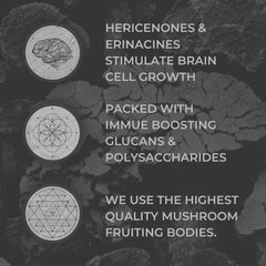 Close-up of Nootrum Lion's Mane capsules signaling cognitive clarity potential.