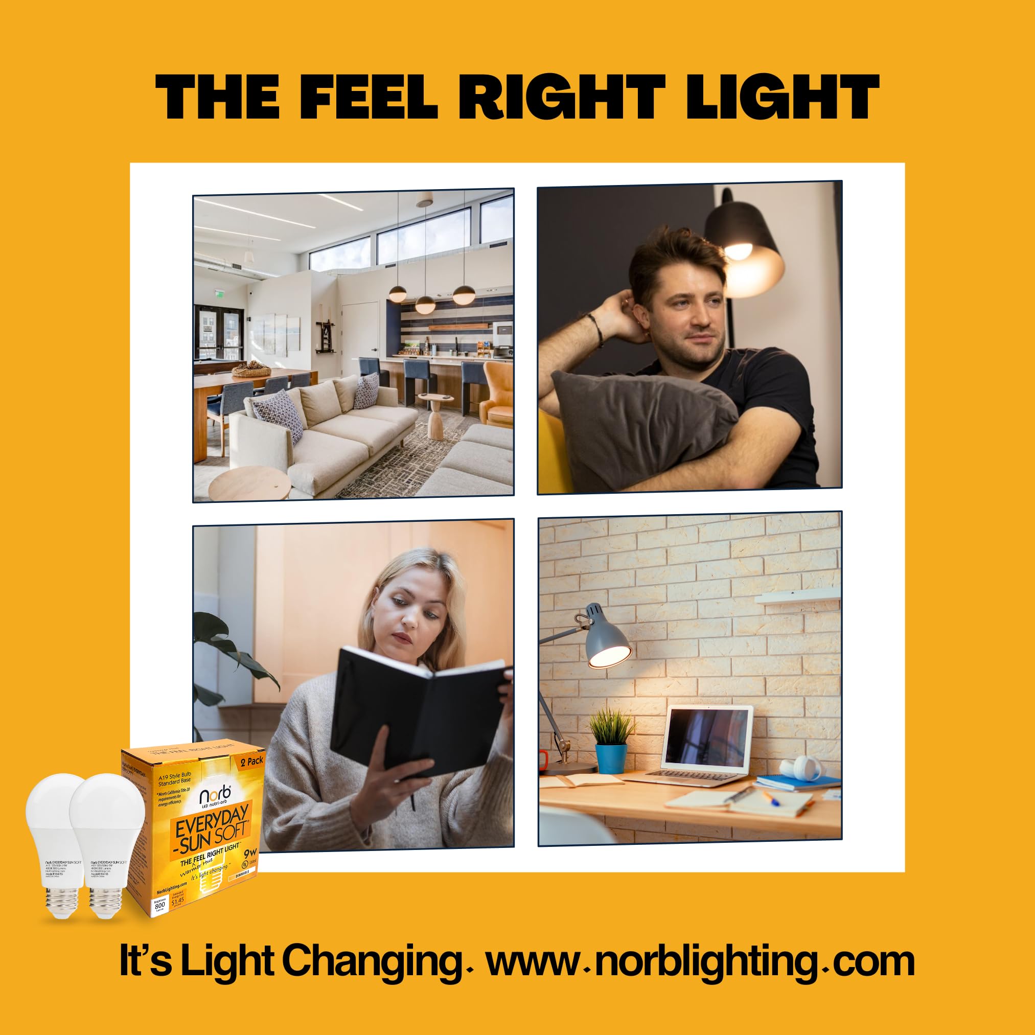 Norb CRI 97 color rendering highlights true colors in any room.