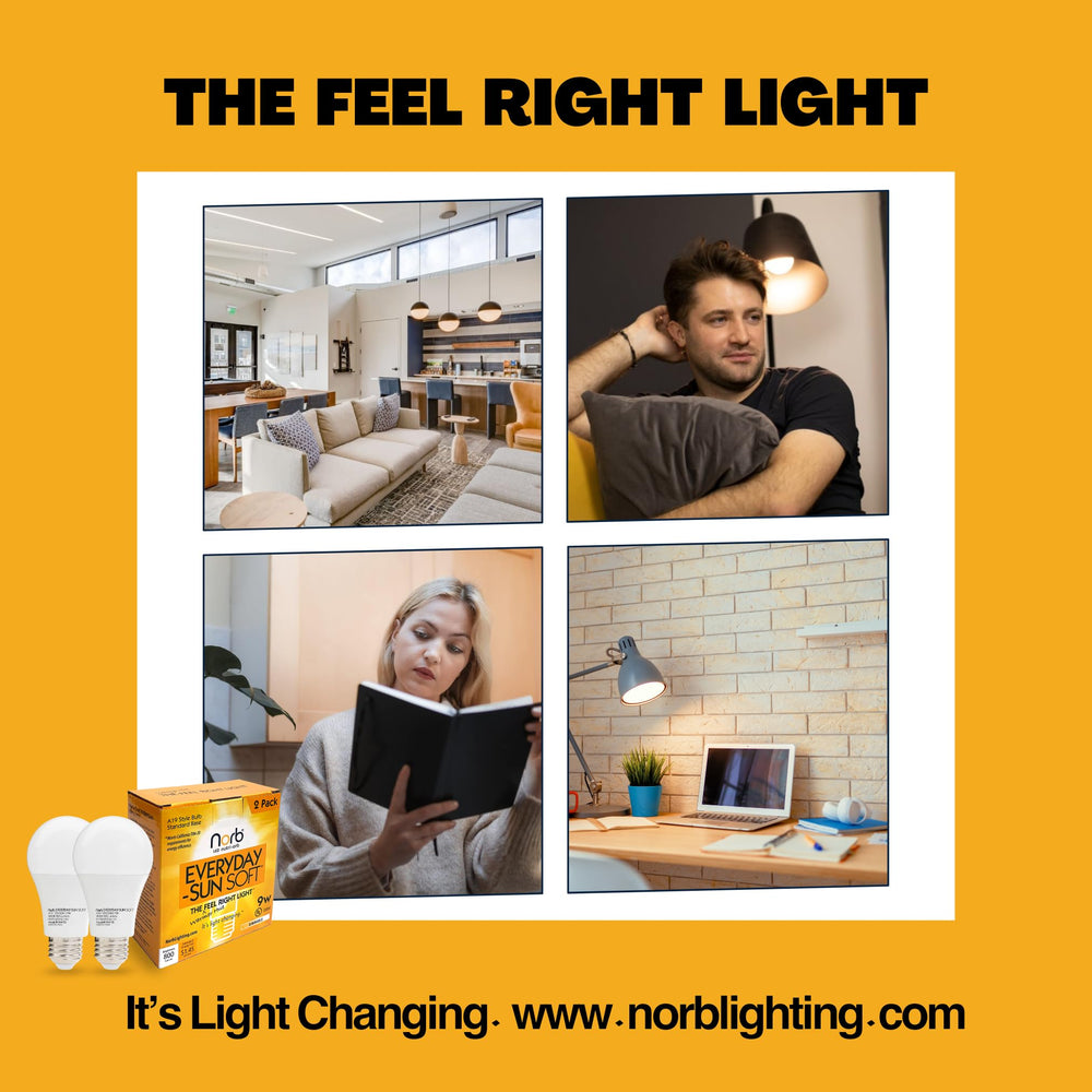 Norb CRI 97 color rendering highlights true colors in any room.