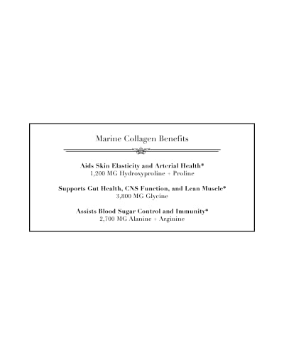 NorCal Organic Marine Collagen powder in coffee for a protein boost