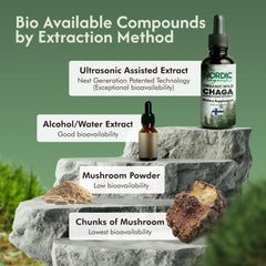 Nordic Organic Chaga arctic Finland scene conveys pristine origins and forest-to-bottle integrity