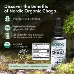Nordic Organic Chaga label closeup showing USDA Organic certification and purity