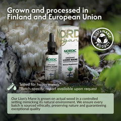 Nordic Organic Lion's Mane tincture added to tea for mindful moments.