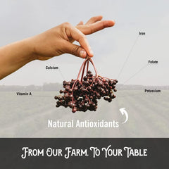 Norm's Farms elderberry gummies for mood, skin, nails