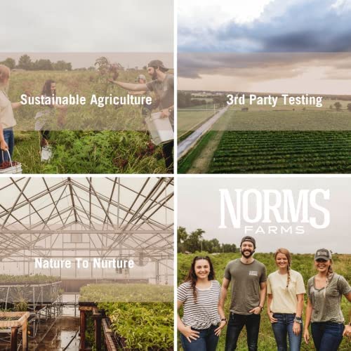 Norm's Farms elderberry gummies sleep support close-up