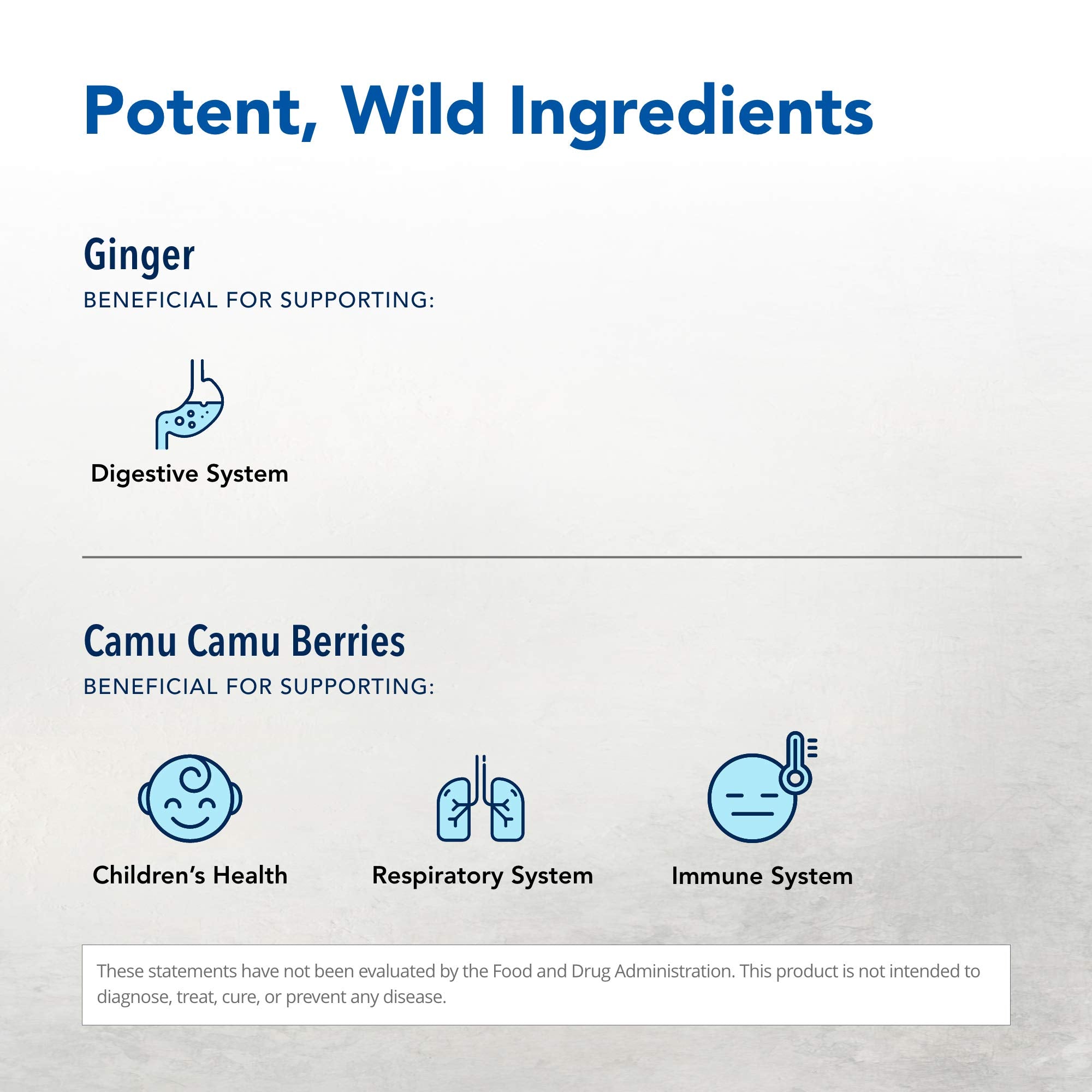 Ginger root concentrate from Inflam-eeZ highlighting potent aroma and color