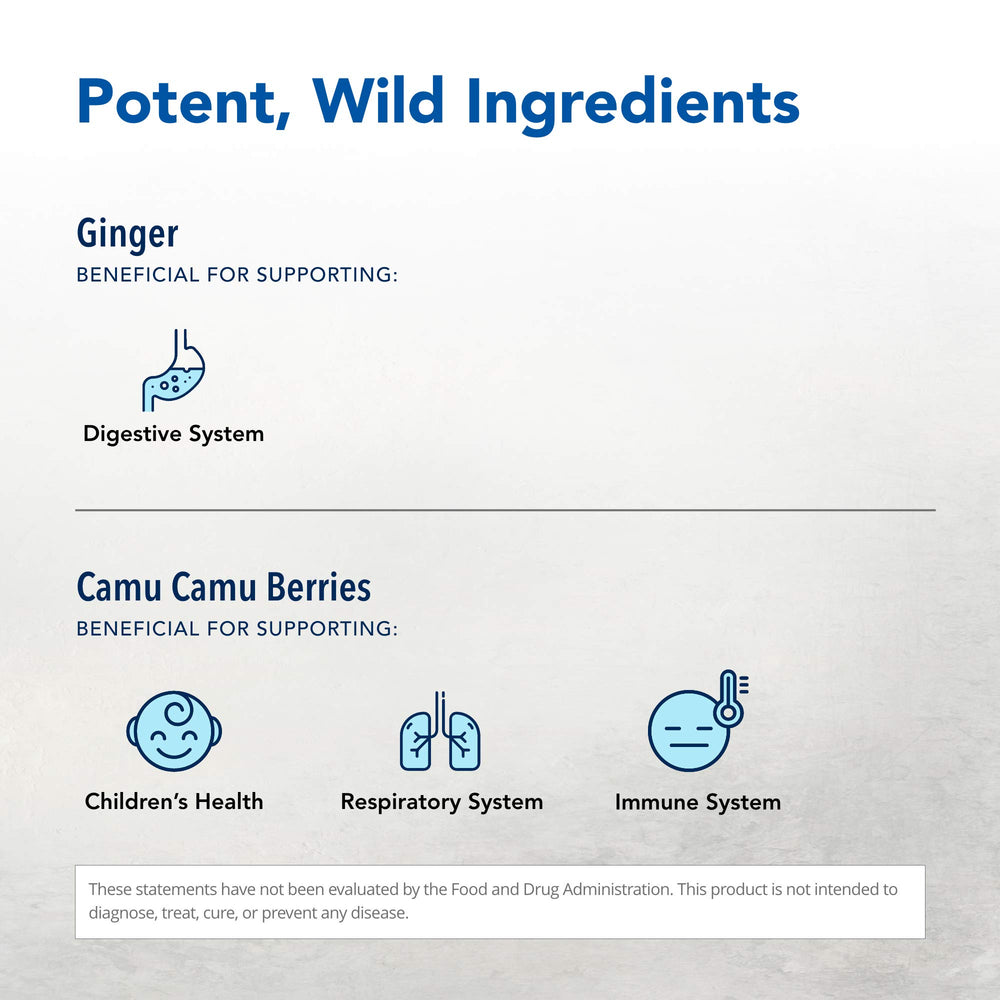 Ginger root concentrate from Inflam-eeZ highlighting potent aroma and color