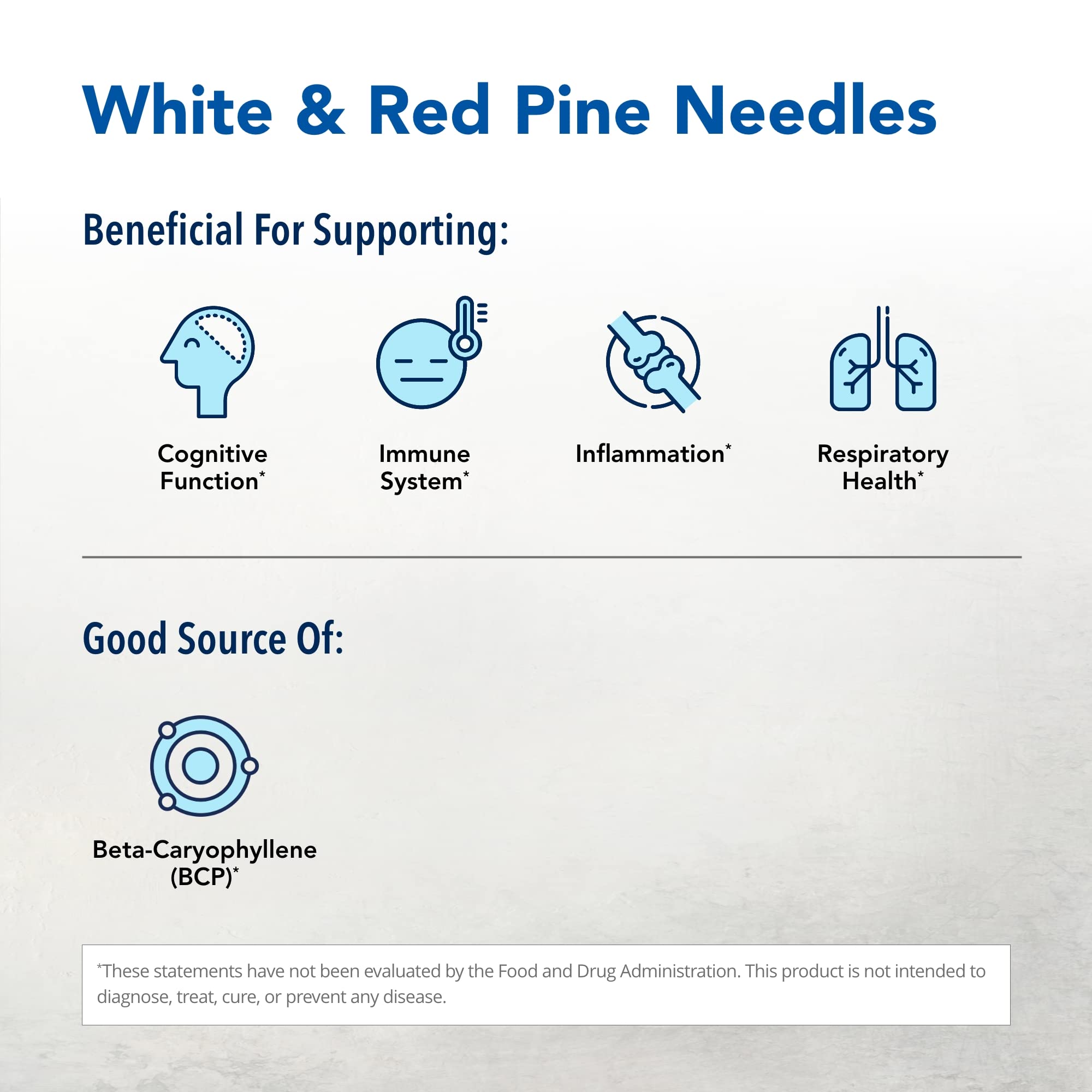 Close-up of raw pine needle extracts used in Pine Power Plus for daily wellness