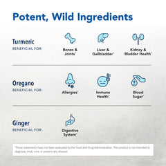 North American Herb & Spice Turmeric Power-Plus ingredients pack showcases olive oil and spices.
