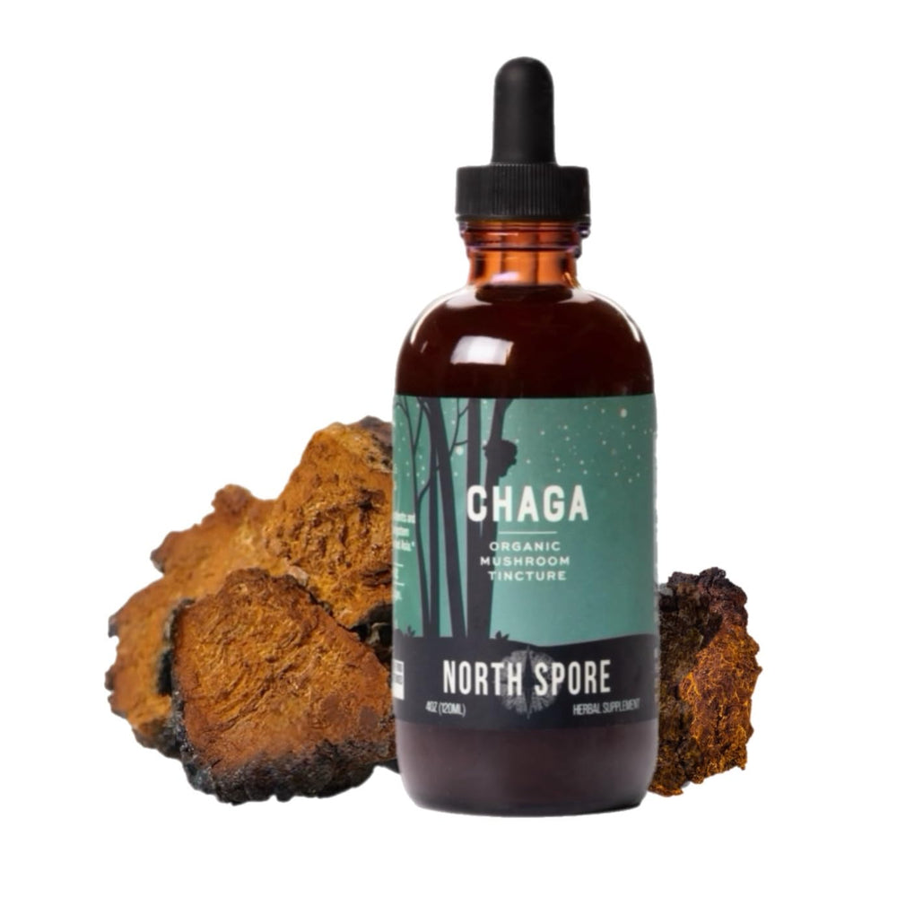 North Spore Chaga tincture dropper for customizable daily dosing.