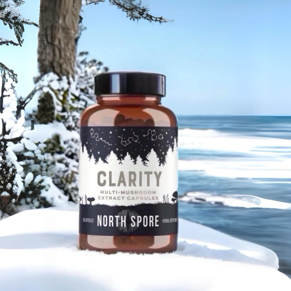 North Spore Clarity capsules in hand ready for a mindful routine.