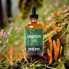 North Spore Cordyceps tincture dropper enabling precise dosing.